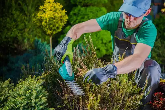 landscaping services Sylvan Beach